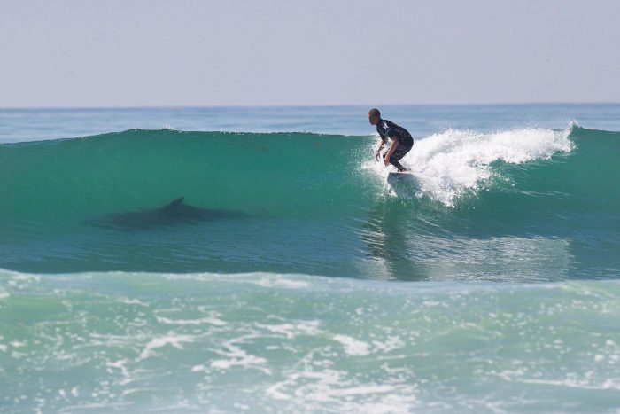 Dangers in Surfing: 7 Situations You Should Know About